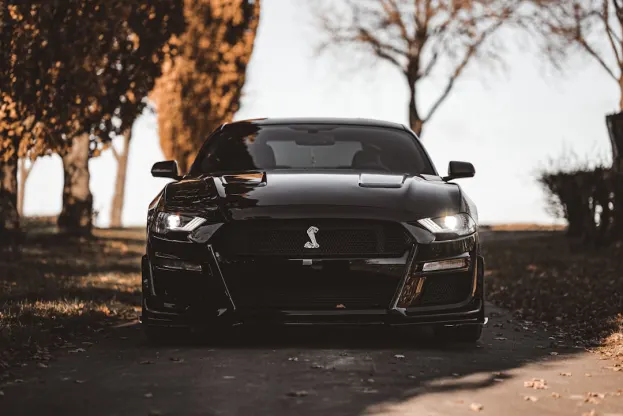 Ρίπερ Καζίνο Εφαρμογή Android/iOS